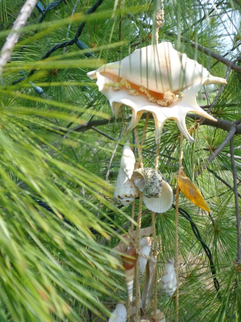 Sea Shells/Rope Wind Chime Nautical Coastal Authentic Various Shells 32